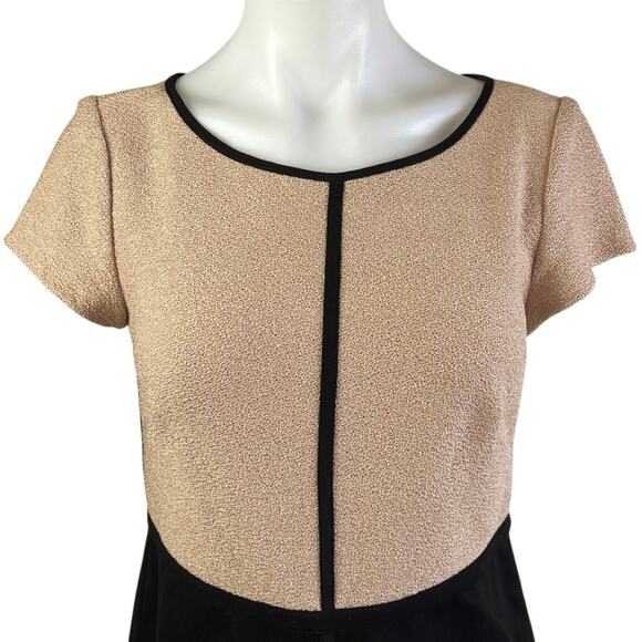 Ann Taylor Tan Black Colorblock Short Sleeve Knee Length Sheath Dress Size S - Picture 3 of 5